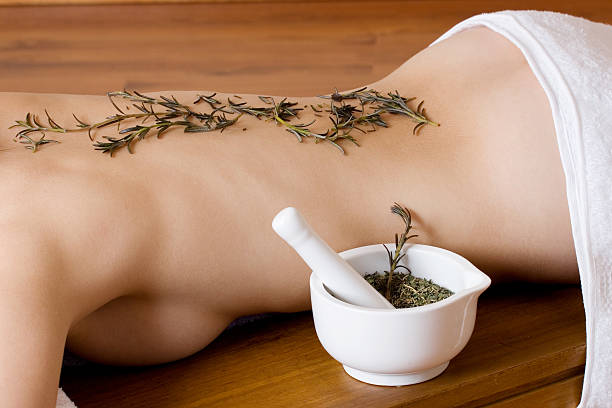 Plantas medicinales para la salud: manzanilla, hinojo, jengibre, cardo mariano para digestión integral