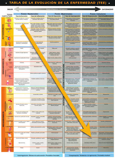 Tabla de las seis fases de Reckeweg: vicariación progresiva y regresiva en homotoxicología