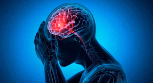Estrés crónico y neuroinflamación: representación del eje cerebro-cuerpo afectado por la inflamación sistémica
